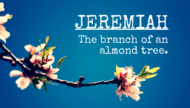 Jeremiah: Supplemental Part 2 episode artwork